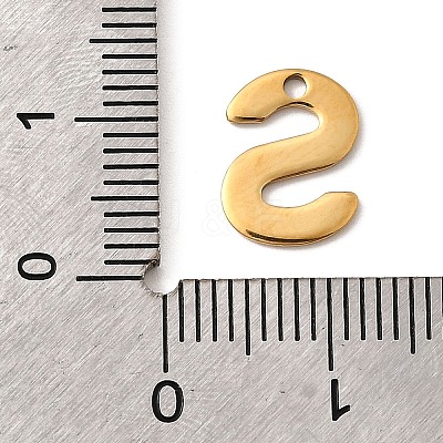 304 Stainless Steel Charms STAS-B093-12G-S-1