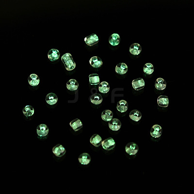 Glow in the Dark Luminous Transparent 8/0 Glass Seed Beads SEED-YWC0001-01H-1