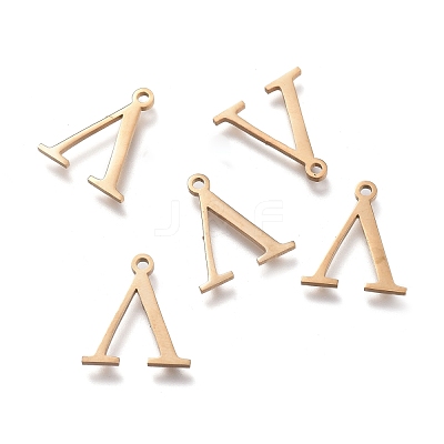 304 Stainless Steel Charms STAS-L263-10G-1