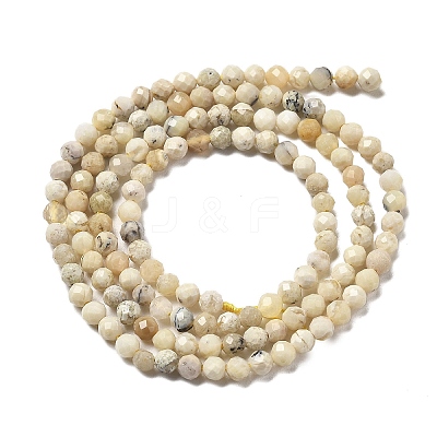 Natural Yellow Opal Beads Strands G-B145-A03-3mm-1
