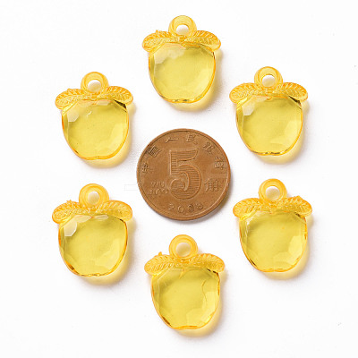 Transparent Acrylic Pendants TACR-S154-28B-81-1