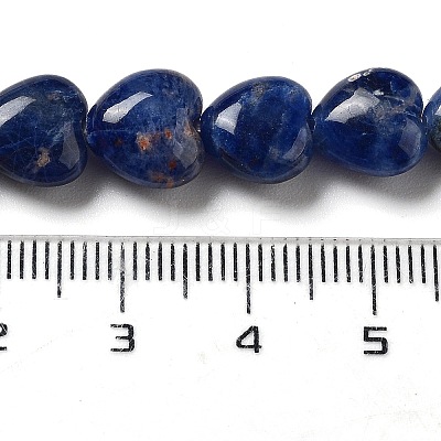 Natural Sodalite Beads Strands G-P528-C09-01-1