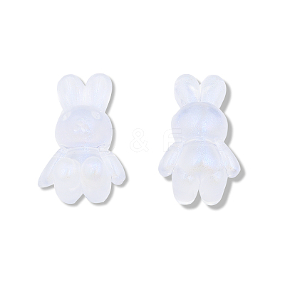 Transparent Acrylic Beads OACR-N008-172F-1