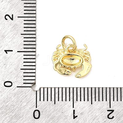 Brass Charms KK-I364-06G-02-1