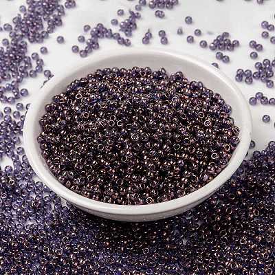 MIYUKI Round Rocailles Beads X-SEED-G008-RR1884-1