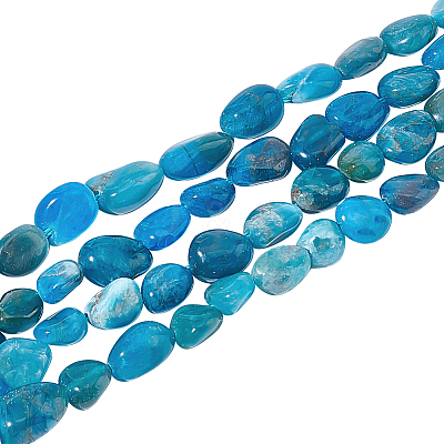 2 Strands Natural Apatite Beads Strands G-NB0004-27-1