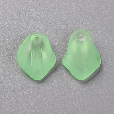 Transparent Frosted Acrylic Pendants MACR-S371-03A-733-1