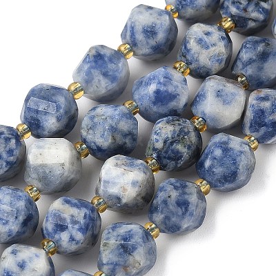 Natural Blue Spot Jasper Beads Strands G-U023-A05-01-1