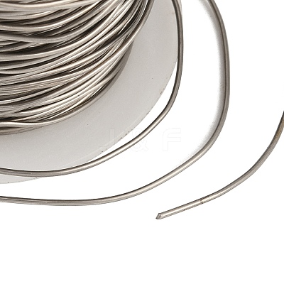 304 Stainless Steel Wire STAS-A115-01P-0.8mm-1