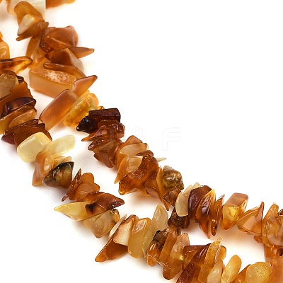 Natural Amber Chip Beads Strands X-G-E271-81-01-1
