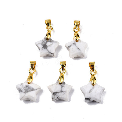 Natural Howlite Charms X-G-N326-142-10-1