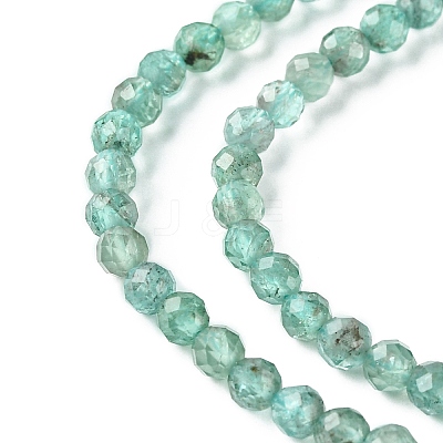 Natural Apatite Beads Strands G-F748-J01-02-1