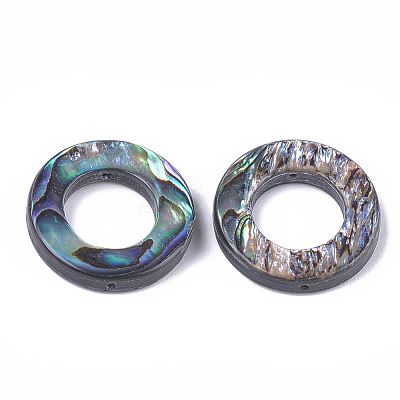 Abalone Shell/Paua Shell Bead Frames SSHEL-T008-17-1