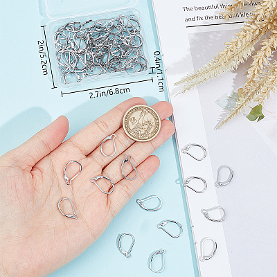 80Pcs 304 Stainless Steel Leverback Earring Findings STAS-BBC0004-10P-1