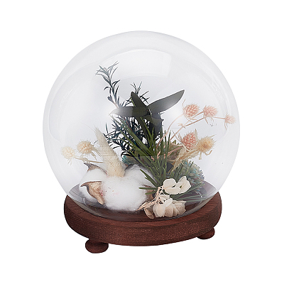 Glass Dome Cover AJEW-WH0401-76A-1