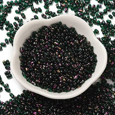 Spray Painted Glass Seed Beads SEED-F005-10A-05-1