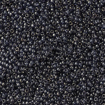 MIYUKI Round Rocailles Beads X-SEED-G007-RR2447-1