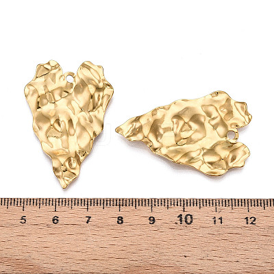 304 Stainless Steel Pendants STAS-N107-10G-1