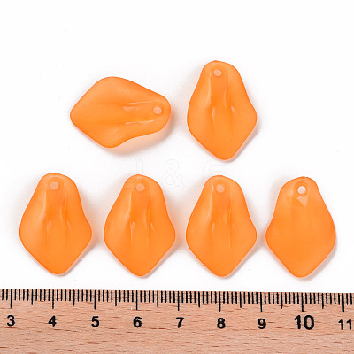 Transparent Frosted Acrylic Pendants MACR-S371-03A-724-1