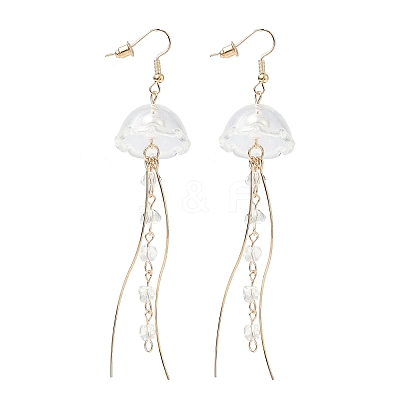 Iron Dangle Earrings RN-CBAE717-01G-02-1