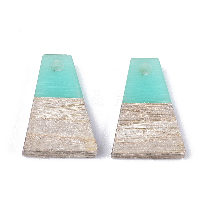 Resin & Wood Pendants LS-RESI-S358-52M-1