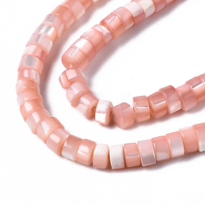 Natural Trochus Shell Beads Strands SHEL-S278-027H-1