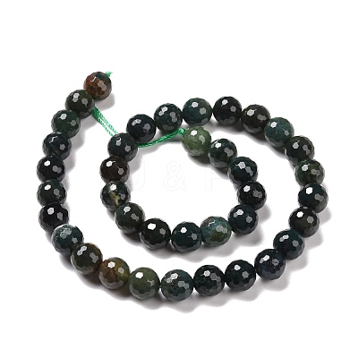 Natural Moss Agate Beads Strands G-E571-21C-1