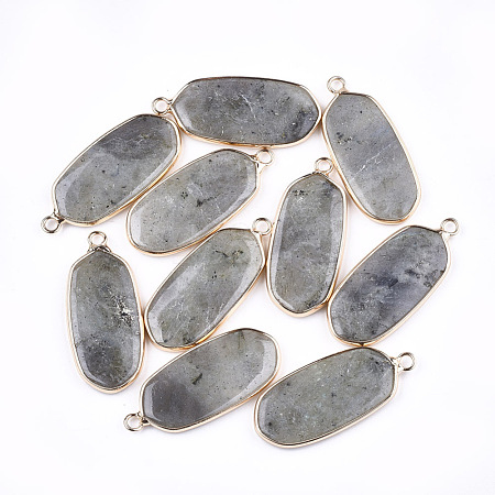 Natural Labradorite Pendants G-T112-23A-1
