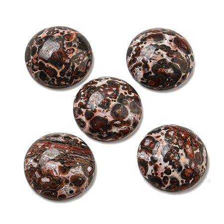 Natural Leopard Skin Jasper Cabochons G-C115-02A-44-1