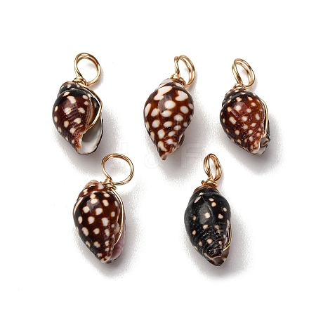 Spiral Shell Pendants PALLOY-JF02492-02-1