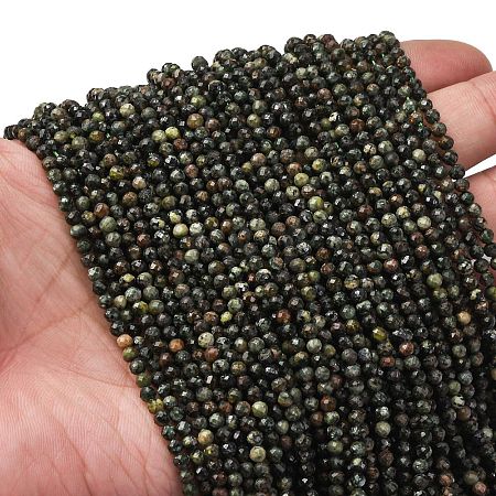 Natural Seraphinite Beads Strands G-RM2025-A42-3mm-1