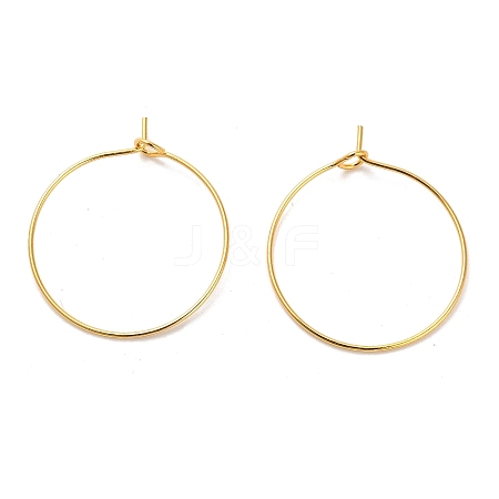 Iron Earring Findings IFIN-R211-01G-1