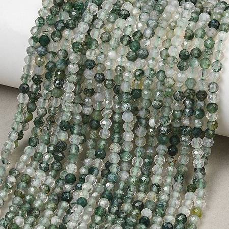 Natural Moss Agate Beads Strands G-J002-03H-A-1
