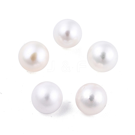 Natural Pearl Beads PEAR-N020-F08-1
