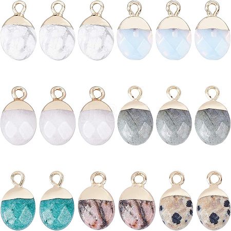 Electroplate Gemstone Charms G-FH0001-11G-1