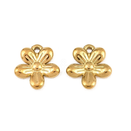 304 Stainless Steel Charms SA-CBA3ECF-06G-1