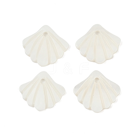 Natural Freshwater Shell Charms SHEL-K006-45A-1