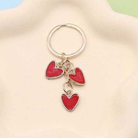 Zinc Alloy Keychain PW-WG48F58-03-1