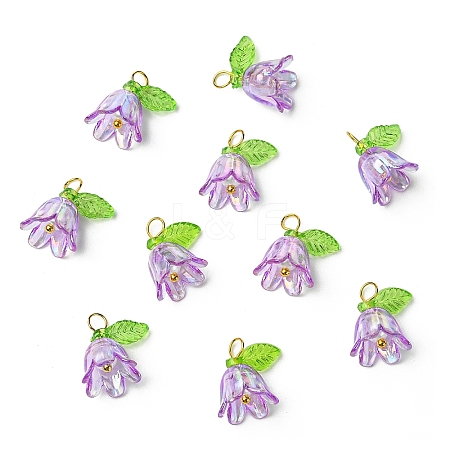 Transparent Acrylic Pendants PALLOY-YW00081-05-1
