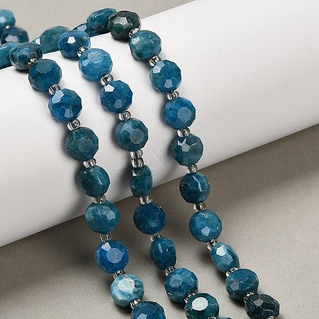 Natural Apatite Beads Strands G-B153-B05-1