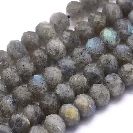 Natural Labradorite Beads Strands G-O170-59C-1