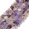 Natural Amethyst Beads Strands G-G085-B51-02-2