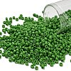 TOHO 8/0 Round Beads X-SEED-TR08-0047-1