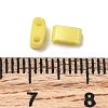 2-Hole Baking Paint Glass Seed Beads SEED-S023-17B-34-3