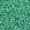 12/0 Glass Seed Beads X1-SEED-A016-2mm-216-3