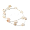 Natural Freshwater Shell Beads Strands SHEL-K006-52B-2