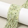 Natural Prehnite Beads Strand G-RM241221-B11-1