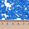 Baking Paint Glass Seed Beads X1-SEED-K010-A15-4