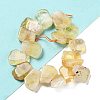 Natural Citrine Beads Strands G-P528-K07-01-2