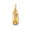 Brass Pave Cubic Zirconia Charms KK-F894-13G-06-1